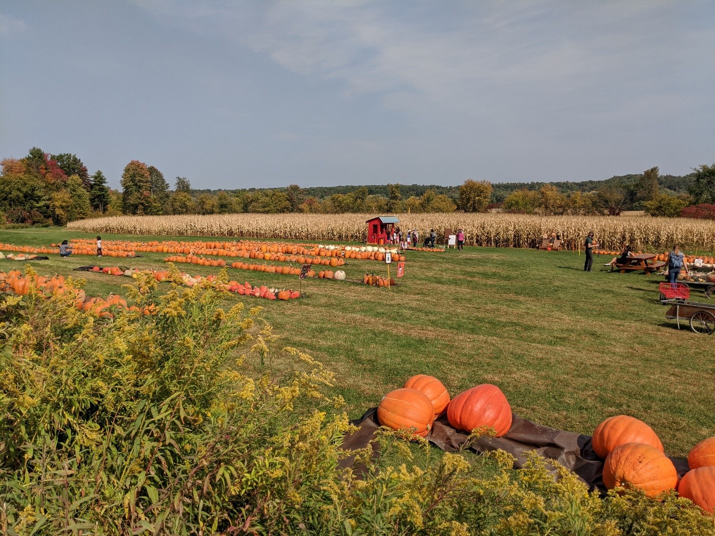 Best Places Vermont Fall Pumpkins