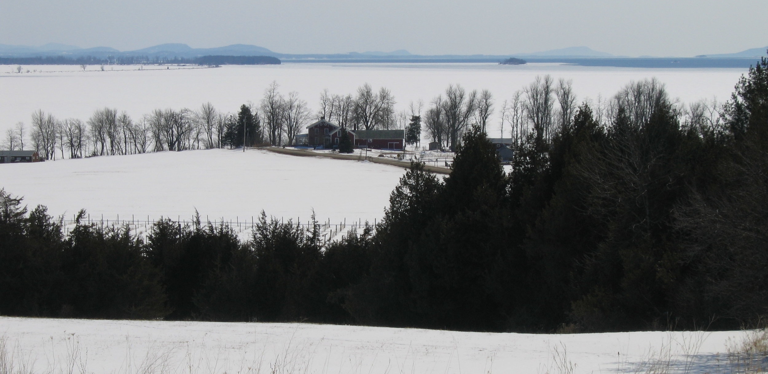 Fox Hill Winter View