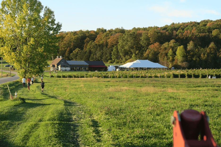 Fall Harvest at Snow Farm Vineyard