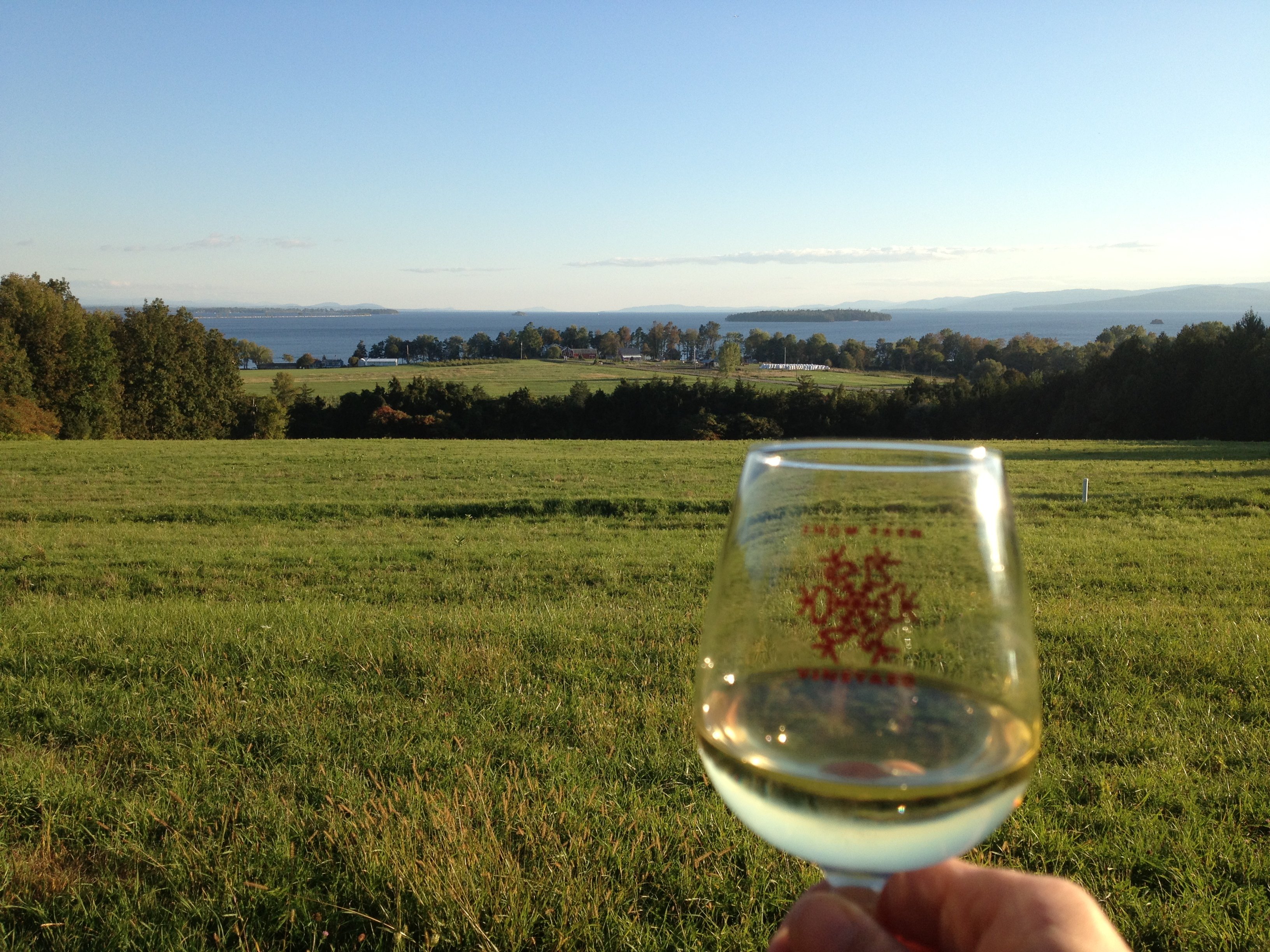 Vermont Islands fall foliage from fox hill with a glass of snow farm wine