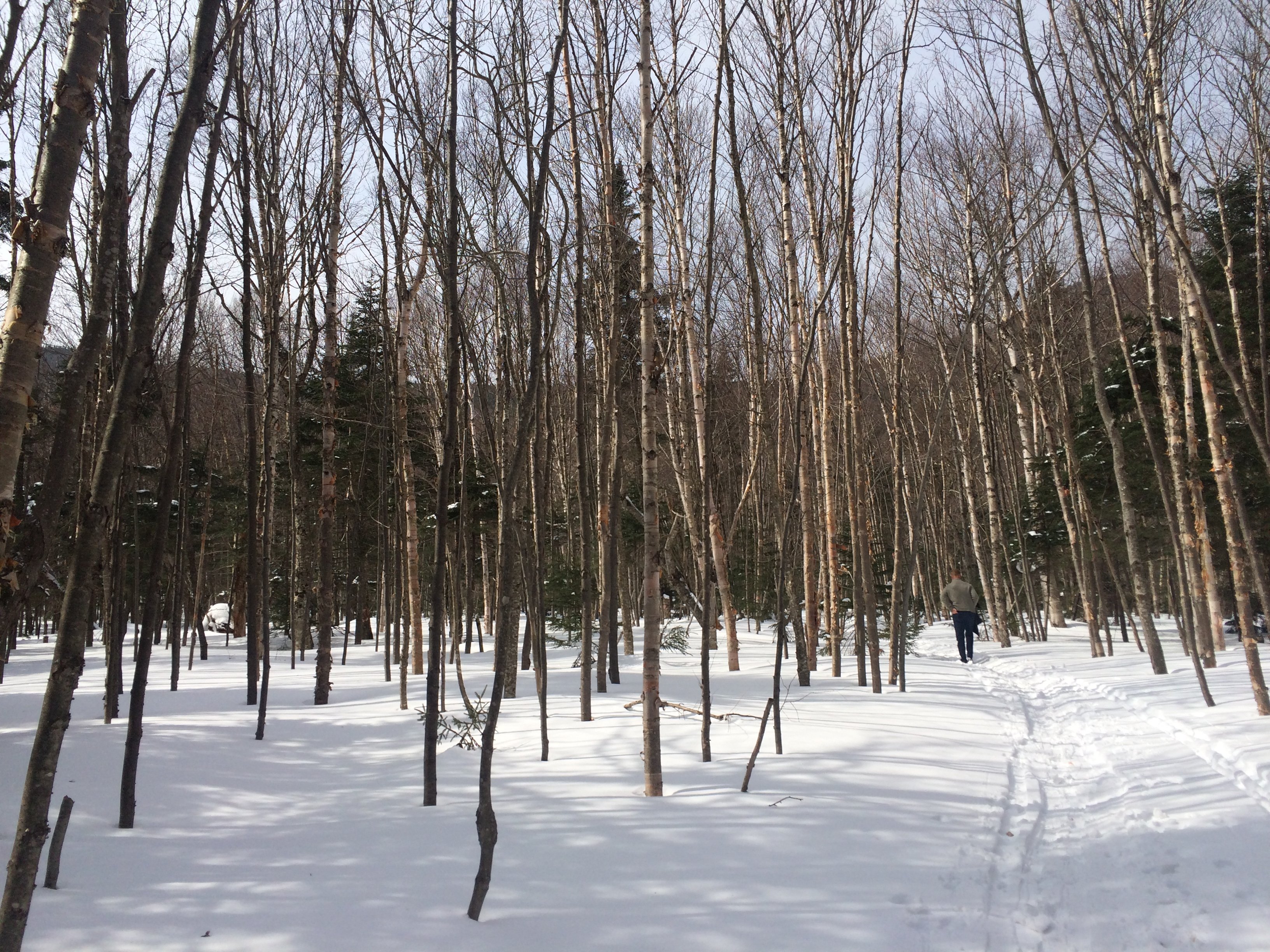winter hiking sterling forest
