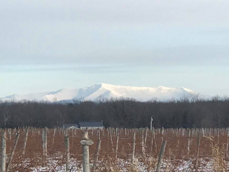 Winter White Wine Snow Farm Vineyard